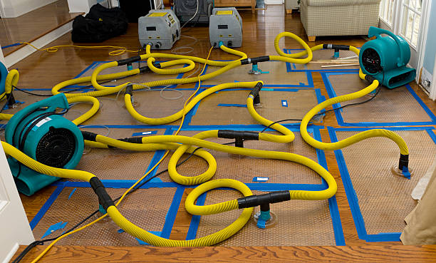 Professional Storm Water Damage Restoration technician working in Park Ridge, IL